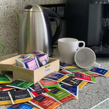 Luxusferienwohnung Mit Infrarotwaermekabine Appartement Goslar