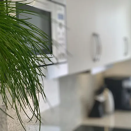 Appartement Luxusferienwohnung Mit Infrarotwaermekabine